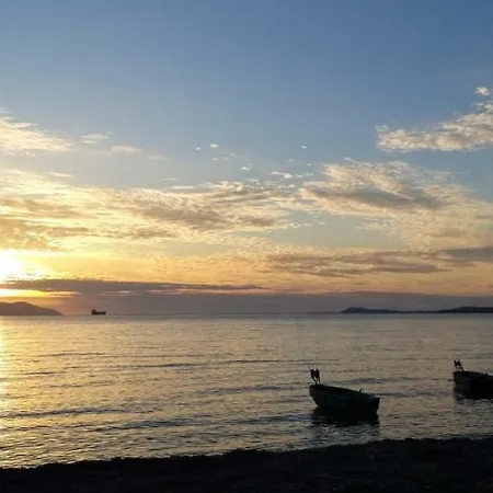 H&m * Vlorë
